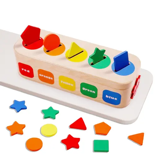 Wooden Cognative Toy- Colors