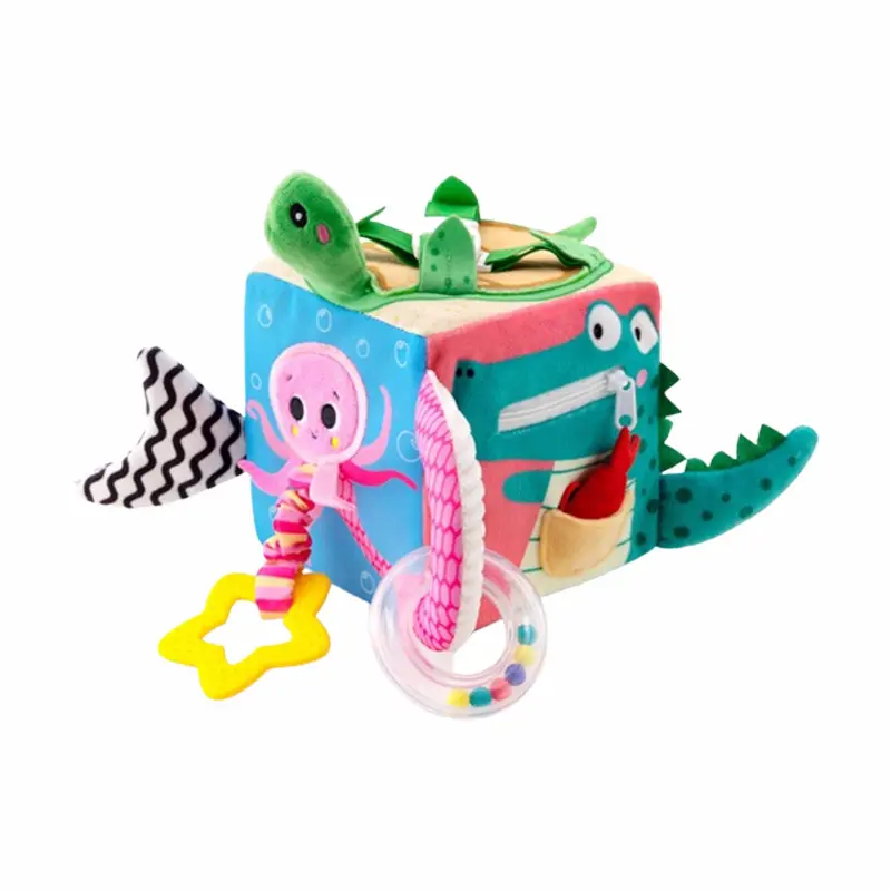 Sensory Attractive Cube Toy